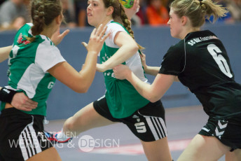 11.Heimspiel 15-16 Everswinkel