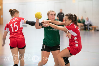 HSV C-Mädchen 2019-20 - Handball-Lemgo