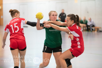 HSV C-Mädchen 2019-20 - Handball-Lemgo