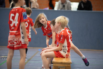 HSV Minispielfest 24-01-2024