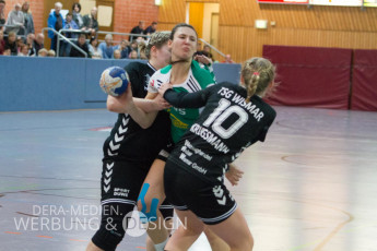 9.Heimspiel 16-17 TSG Wismar